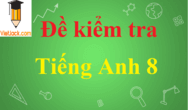 100 đề thi Tiếng Anh lớp 8 năm 2024 có đáp án