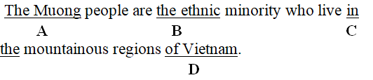 Đề thi Giữa kì 1 Tiếng Anh 8 năm 2021 - 2022 có đáp án (Đề 1)