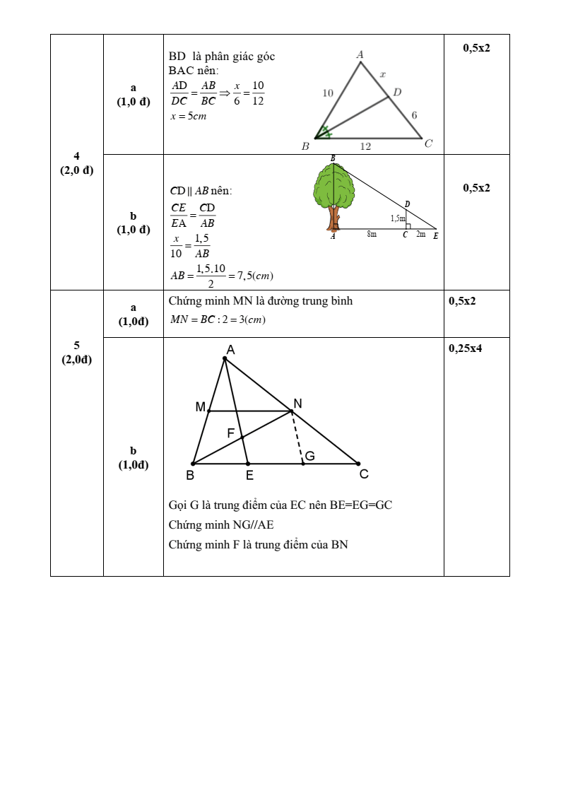 Đề thi Giữa kì 2 Toán 8 phòng GD&ĐT Quận 3 (Tp.HCM) năm 2024-2025