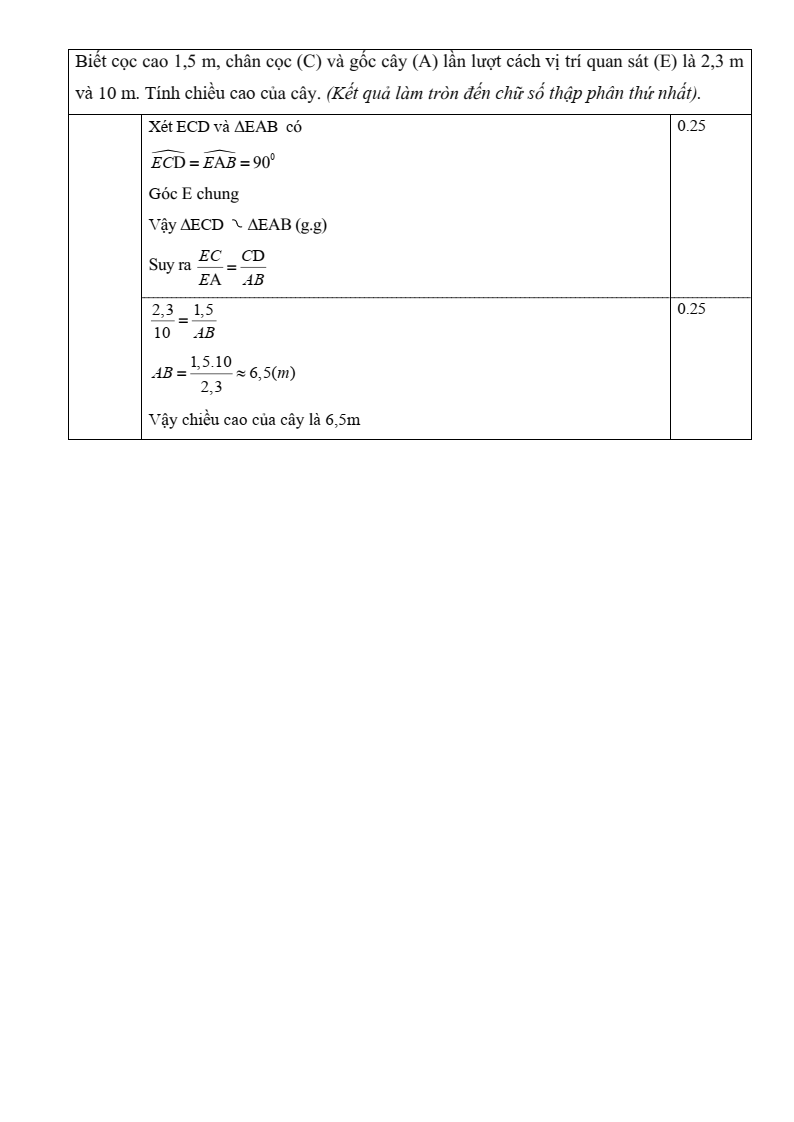 Đề thi Giữa kì 2 Toán 8 trường THCS Hưng Bình (Nghệ An) năm 2024-2025