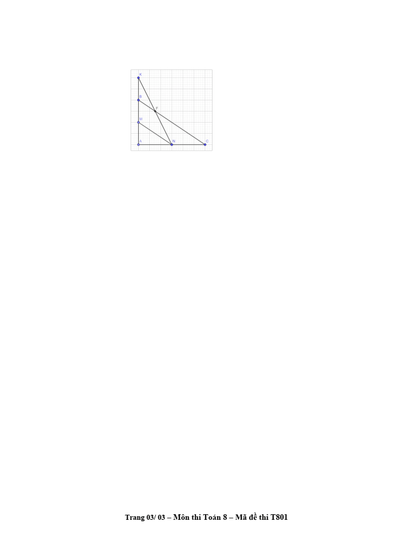 Đề thi Giữa kì 2 Toán 8 trường THCS Lý Sơn (Hà Nội) năm 2024-2025