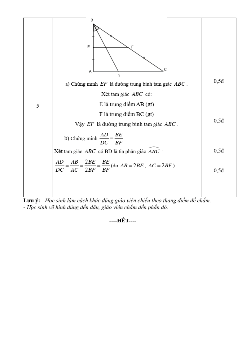 Đề thi Giữa kì 2 Toán 8 trường THCS Trường Thạnh (Tp.HCM) năm 2024-2025