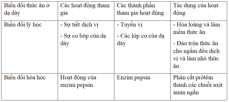 Đề thi Học kì 1 Sinh học lớp 8 có đáp án (Đề 1)