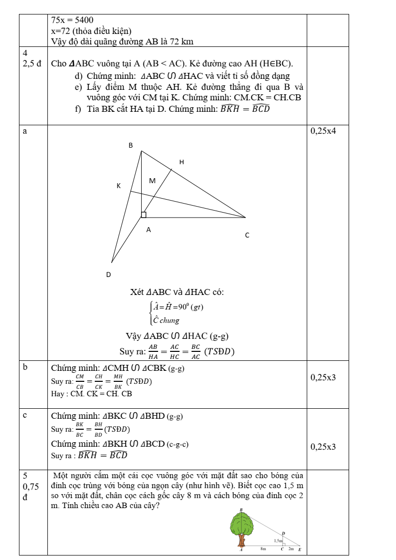 Đề thi Học kì 2 Toán 8 phòng GD&ĐT Bình Thạnh (Tp.HCM) năm 2024-2025
