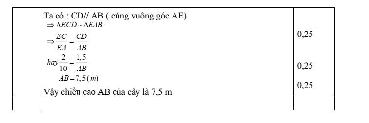 Đề thi Học kì 2 Toán 8 phòng GD&ĐT Bình Thạnh (Tp.HCM) năm 2024-2025