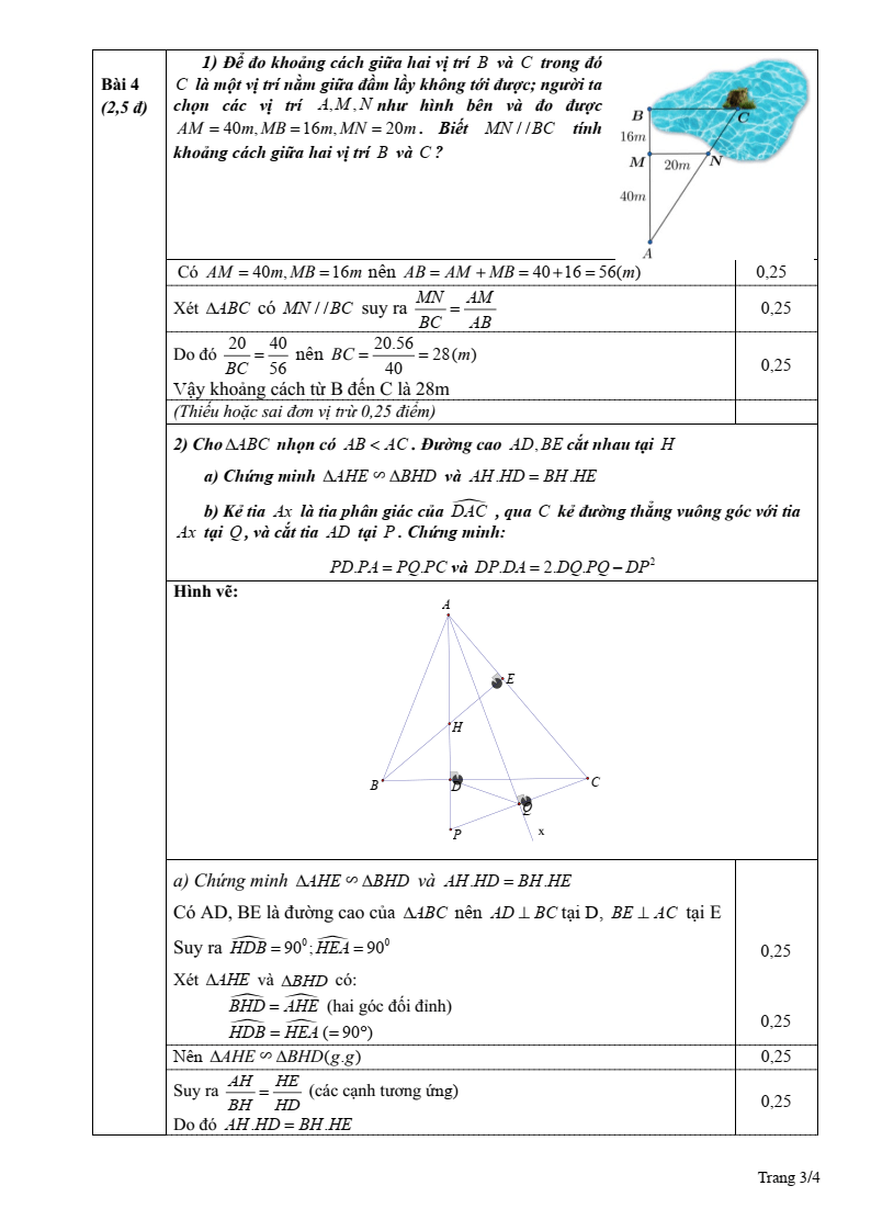 Đề thi Học kì 2 Toán 8 phòng GD&ĐT Hải Hậu (Nam Định) năm 2024-2025