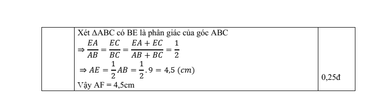 Đề thi Học kì 2 Toán 8 phòng GD&ĐT Quận 7 (Tp.HCM) năm 2024-2025