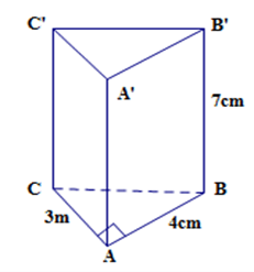 Đề thi Học kì 2 Toán lớp 8 có đáp án (6 đề) (ảnh 1)