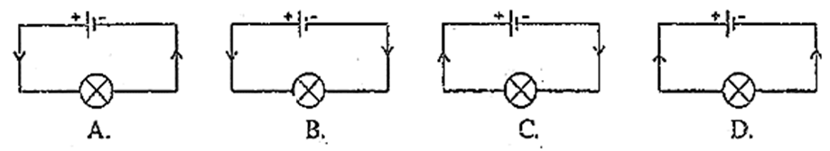 6+ Đề thi Giữa kì 2 Khoa học tự nhiên 8 Kết nối tri thức (cấu trúc mới, có đáp án)