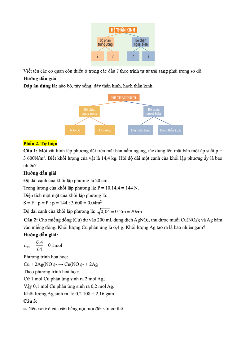 6 Đề thi Học kì 1 Khoa học tự nhiên 8 Cánh diều (có đáp án, cấu trúc mới)