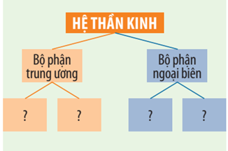 6 Đề thi Học kì 1 Khoa học tự nhiên 8 Kết nối tri thức (có đáp án, cấu trúc mới)