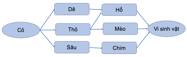 3 Đề thi Học kì 2 Khoa học tự nhiên 8 Chân trời sáng tạo (có đáp án + ma trận)