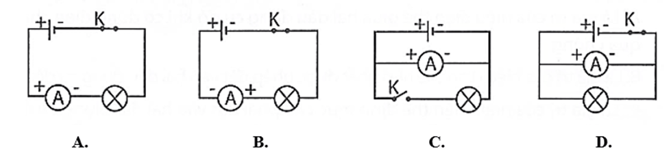 22+ Đề thi Học kì 2 Khoa học tự nhiên 8 Kết nối tri thức (cấu trúc mới, có đáp án)