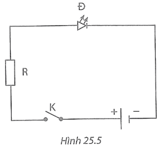 22+ Đề thi Học kì 2 Khoa học tự nhiên 8 Kết nối tri thức (cấu trúc mới, có đáp án)