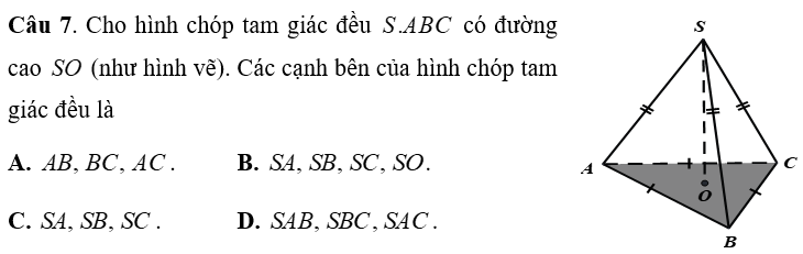 10 Đề thi Giữa kì 1 Toán 8 Chân trời sáng tạo (có đáp án + ma trận)