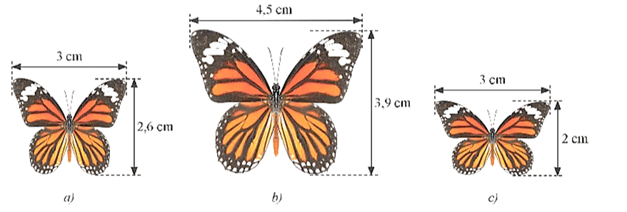 15+ Đề thi Giữa kì 2 Toán 8 Kết nối tri thức (cấu trúc mới, có đáp án)