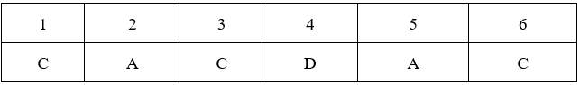 Đề kiểm tra 15 phút Sinh học 9 Học kì 2 có đáp án (Trắc nghiệm - Tự luận - Lần 1 - Đề 2)