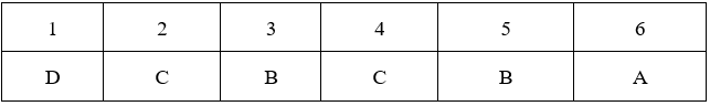 Đề kiểm tra 15 phút Sinh học 9 Học kì 2 có đáp án (Trắc nghiệm - Tự luận - Lần 1 - Đề 4)