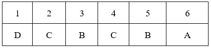 Đề kiểm tra 15 phút Sinh học 9 Học kì 2 có đáp án (Trắc nghiệm - Tự luận - Lần 2 - Đề 1)