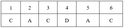 Đề kiểm tra 15 phút Sinh học 9 Học kì 2 có đáp án (Trắc nghiệm - Tự luận - Lần 2 - Đề 2)