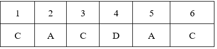 Đề kiểm tra 15 phút Sinh học 9 Học kì 2 có đáp án (Trắc nghiệm - Tự luận - Lần 2 - Đề 3)