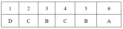 Đề kiểm tra 15 phút Sinh học 9 Học kì 2 có đáp án (Trắc nghiệm - Tự luận - Lần 2 - Đề 4)