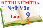 Top 100 đề thi Địa Lí lớp 9 năm 2024 Học kì 1, Học kì 2 có đáp án