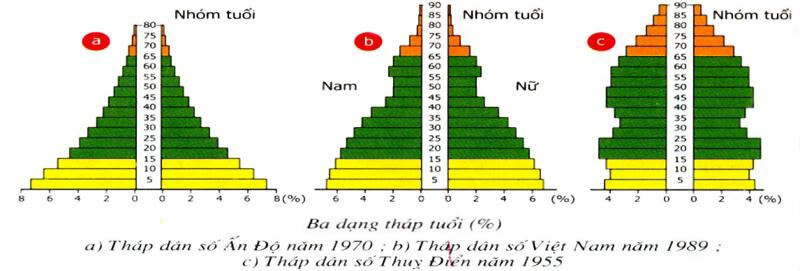 Bộ 3 đề thi Sinh học 9 Giữa kì 2 năm 2024 tải nhiều nhất