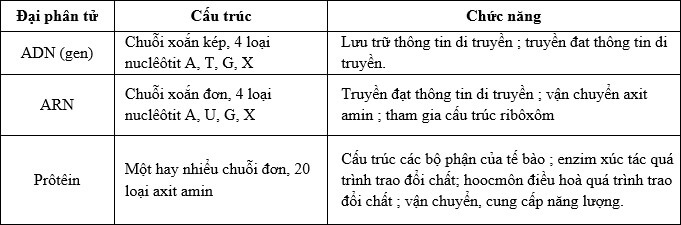 Đề kiểm tra sinh 9 - có đáp án - đề 3