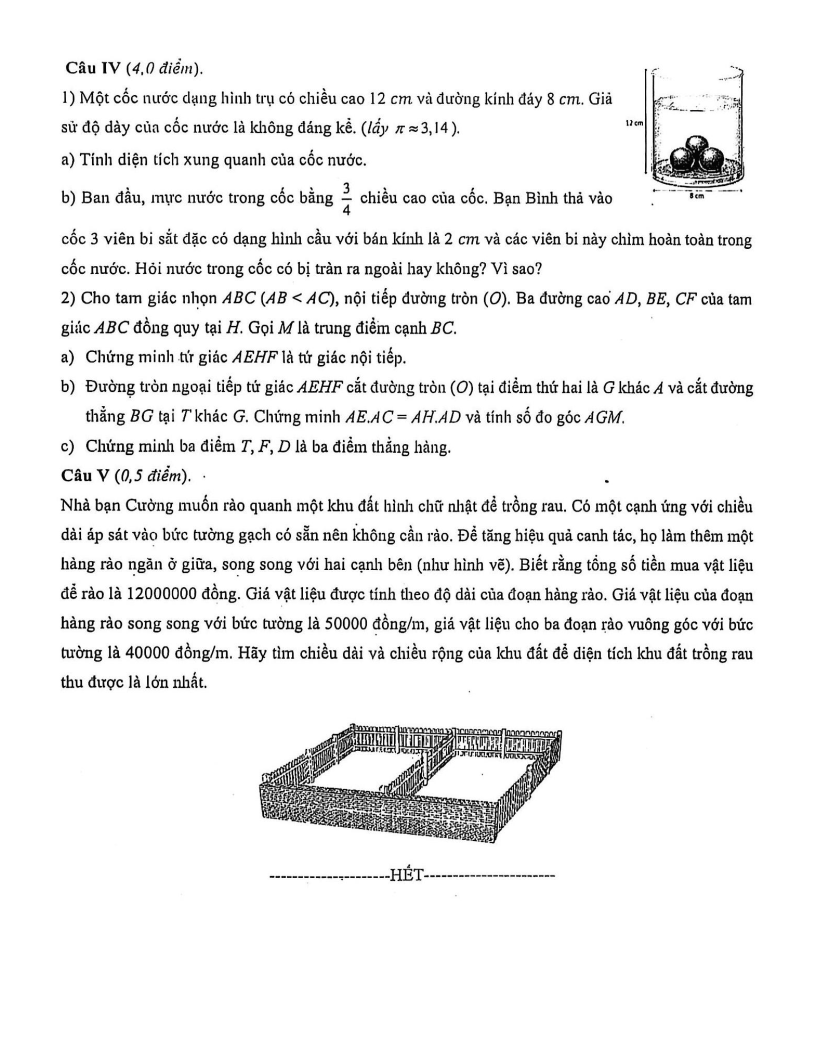 Đề thi Giữa kì 2 Toán 9 trường THPT chuyên Hà Nội – Amsterdam năm 2025-2026