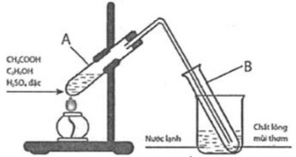 Đề thi tuyển sinh Hóa học vào lớp 10 trường Chuyên Lam Sơn (Thanh Hóa) năm 2025
