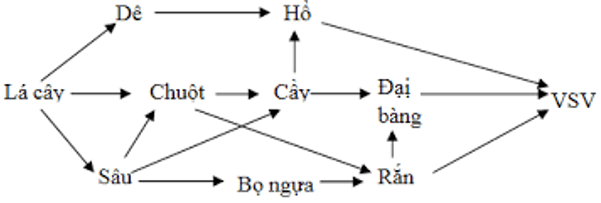 Đề thi Học kì 2 Sinh học 9 có đáp án (Trắc nghiệm - Tự luận - Đề 4)