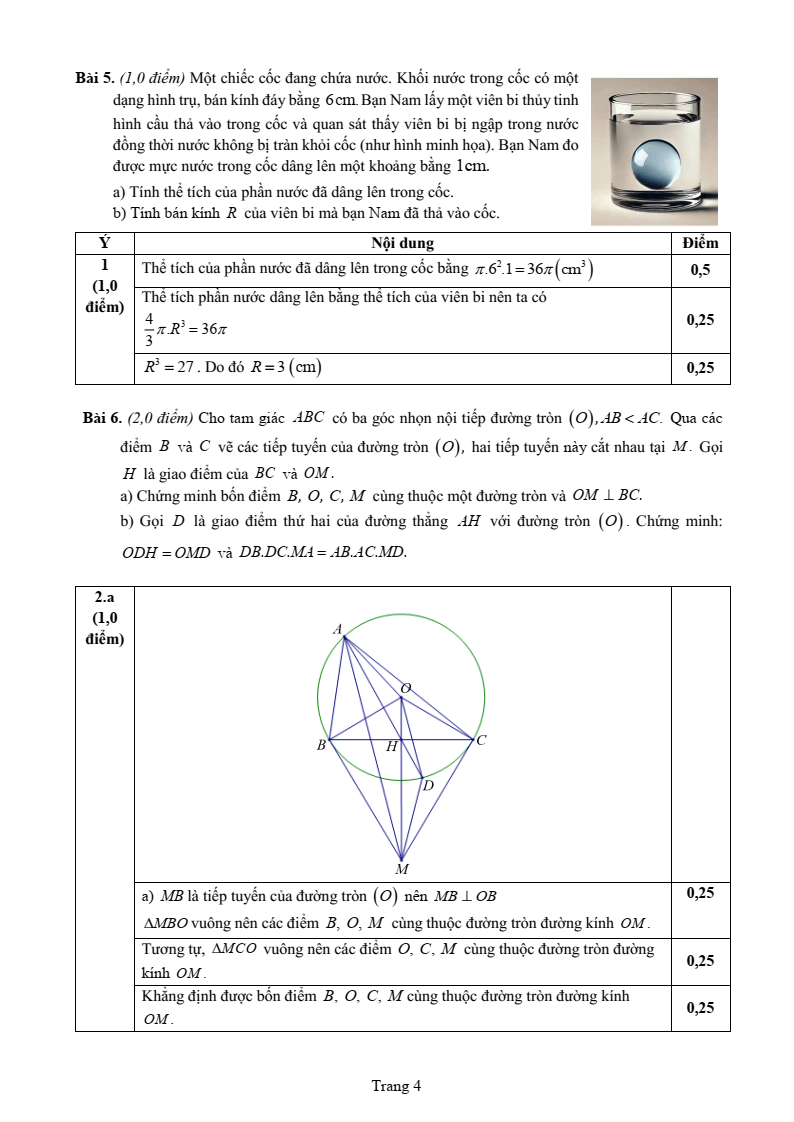 Đề thi Học kì 2 Toán 9 sở GD&ĐT Nam Định năm 2024-2025