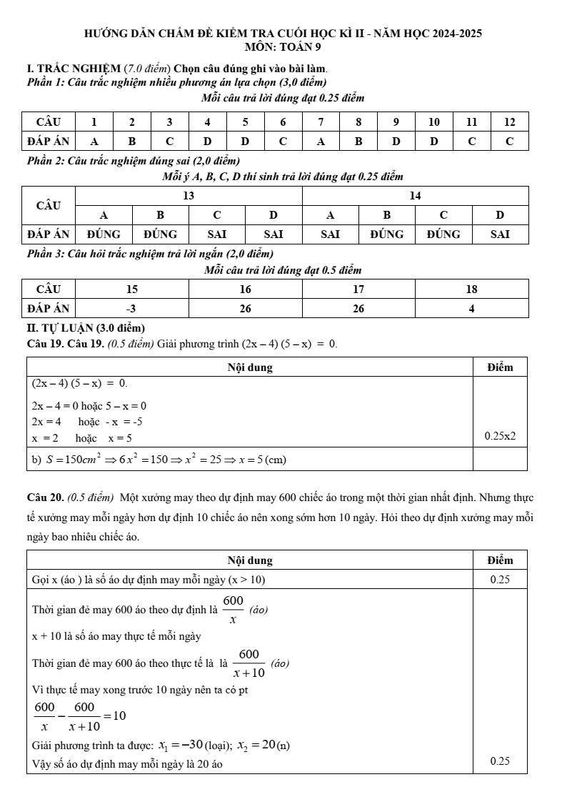Đề thi Học kì 2 Toán 9 trường THCS Võ Trường Toản (Bà Rịa - Vũng Tàu) năm 2024-2025