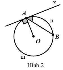 Đề thi Học kì 2 Toán 9 có đáp án (6 đề) (ảnh 1)