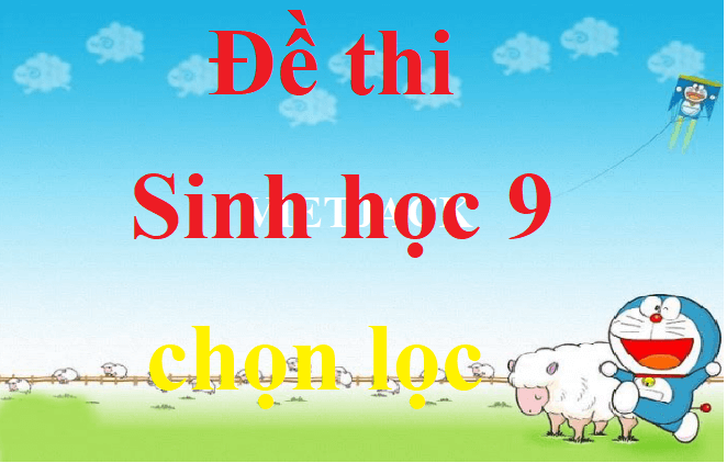 Top 100 Đề thi Sinh học 9 năm 2024 học kì 1, học kì 2 có đáp án