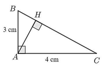 10 Đề thi Học kì 1 Toán 9 Kết nối tri thức (có đáp án, cấu trúc mới)
