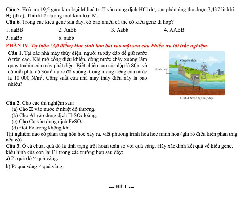 Đề thi Giữa kì 1 KHTN 9 năm 2024-2025 trường THCS Ngô Gia Tự (Hà Nội)