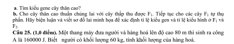 Đề thi Giữa kì 1 KHTN 9 năm 2024-2025 trường THCS Nguyễn Du (Quảng Nam)