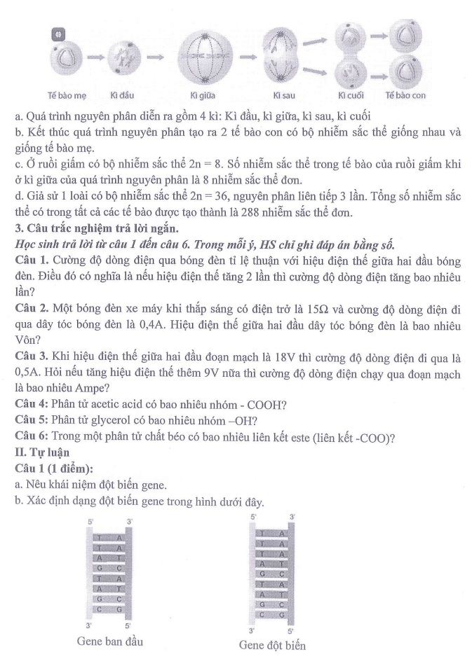 Đề thi Giữa kì 2 KHTN 9 năm 2025-2026 trường THCS Ngọc Lâm (Hà Nội)