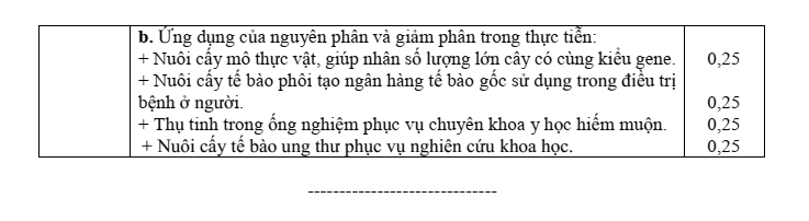 Đề thi Giữa kì 2 KHTN 9 năm 2024-2025 trường THCS Nguyễn Trãi (Quảng Nam)