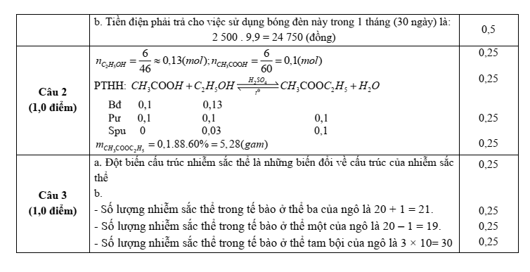 Đề thi Học kì 2 KHTN 9 năm 2025-2026 trường THCS Ngô Gia Tự (Hà Nội)