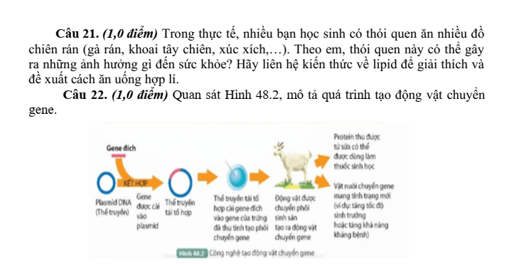 Đề thi Học kì 2 KHTN 9 năm 2025-2026 trường THCS Phúc Trìu (Thái Nguyên)