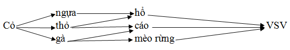 Đề kiểm tra Sinh 12 có đáp án và thang điểm