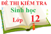 Đề kiểm tra Sinh học 12 | Đề kiểm tra 15 phút, 1 tiết Sinh học 12 Học kì 1, Học kì 2 có đáp án