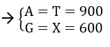 Đề thi giữa kì - Sinh 12 - có đáp án - đề 2