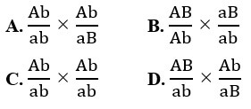 Đề thi giữa kì - Sinh 12 - có đáp án - đề 4