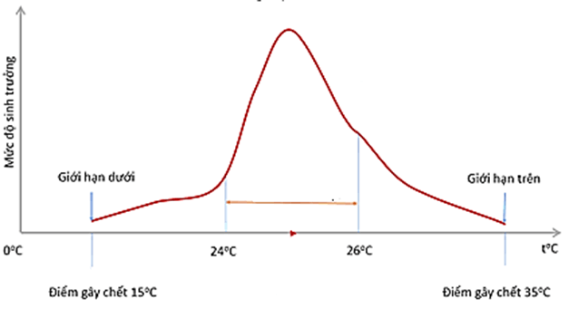 2+ Đề thi Giữa kì 2 Sinh học 12 Cánh diều (cấu trúc mới, có đáp án)