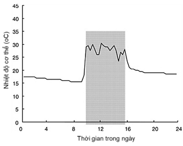 2+ Đề thi Giữa kì 2 Sinh học 12 Cánh diều (cấu trúc mới, có đáp án)