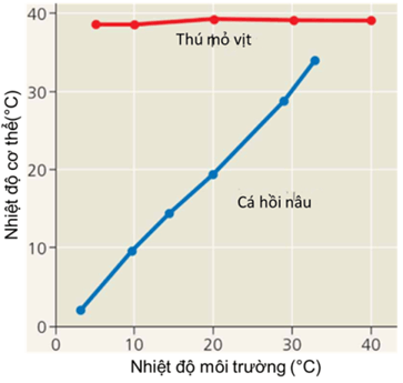 2+ Đề thi Giữa kì 2 Sinh học 12 Chân trời sáng tạo (cấu trúc mới, có đáp án)